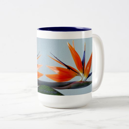 Fan der Paradise-Tasse Zweifarbige Tasse (VorderseiteRechts)