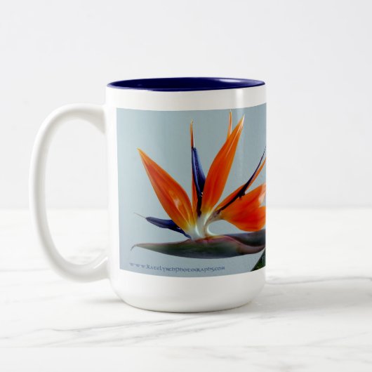 Fan der Paradise-Tasse Zweifarbige Tasse (Links)
