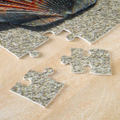 FAN-MUSCHELN 20x30 INCH Puzzle (Seite)