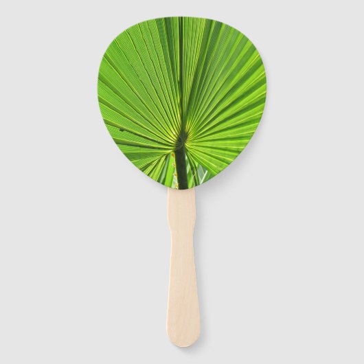 Fan - Palm Frond Fächer (Rückseite)