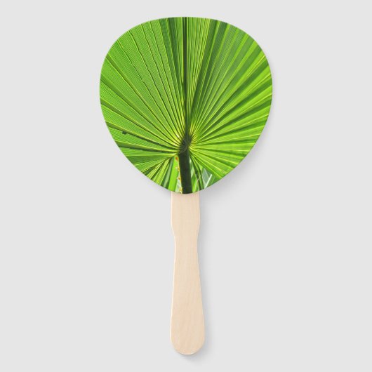 Fan - Palm Frond Fächer (Vorderseite)