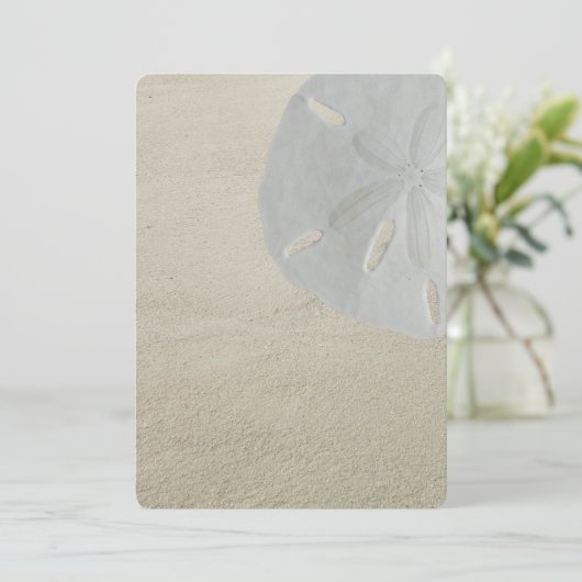 Fan Paper zum Sand-Sand-Blank-Programm für Sand-Do Programm (Stehend Vorderseite)