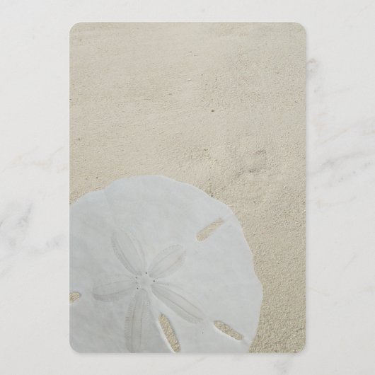 Fan Paper zum Sand-Sand-Blank-Programm für Sand-Do Programm (Rückseite)