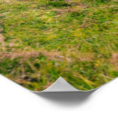 Fanad Head Lighthouse | Donegal, Irland Poster (Ecke)