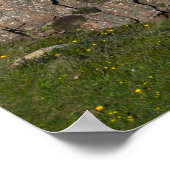 Fanad Head Lighthouse Poster (Ecke)