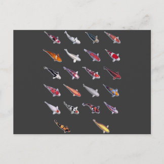 Fanatical Über Koi Postkarte