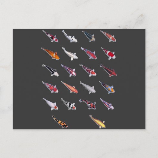 Fanatical Über Koi Postkarte (Vorderseite)