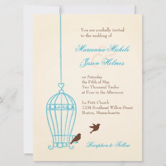 Fanciful Bird Cage Aquamarin & Chocolate Wedding Einladung (Vorderseite)
