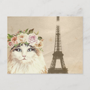 Fancy Cat & Eiffelturm Postkarte