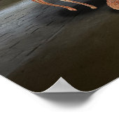 Fancy Feast Poster (Ecke)