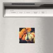 Fancy-Gourden-Naturfotografie Magnet (In Situ (Geschirrspüler))