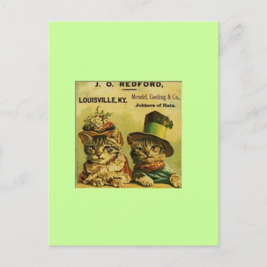 Fancy Katzen Postkarte (Vorderseite)