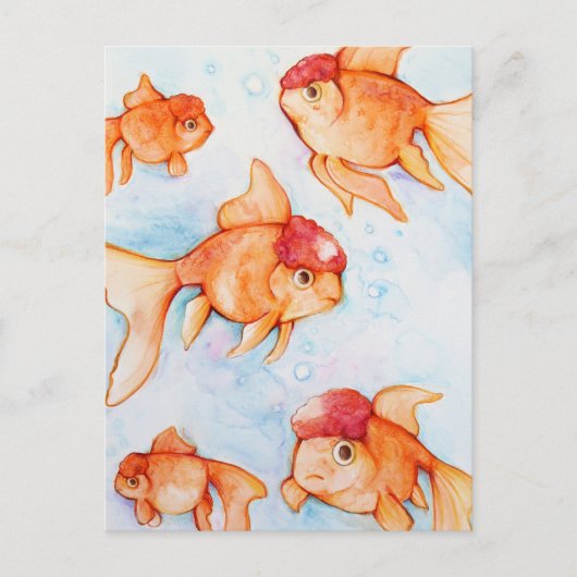 Fancy Oranda Goldfisch Postkarte (Vorderseite)