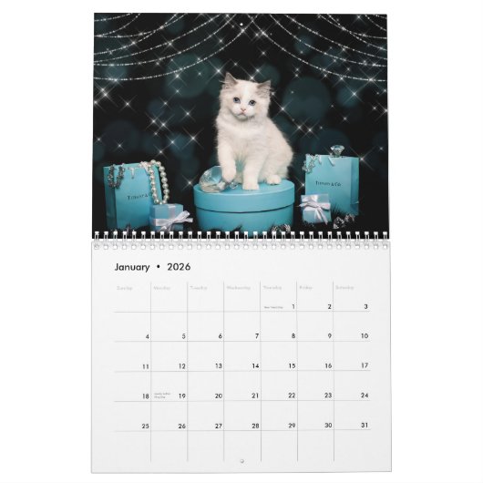 Fancy Rags 12 month Calendar Kalender (Jan 2026)