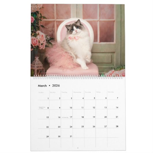 Fancy Rags Ragdoll Cat Calendar Kalender (Mär 2026)