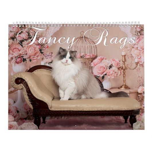 Fancy Rags Ragdoll Katzenkalender Kalender (Titelbild)