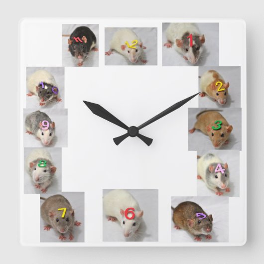Fancy Rat Clock Quadratische Wanduhr (Vorderseite)