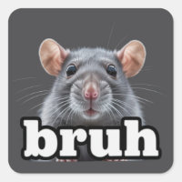 Fancy-Ratte-Nagetierbesitzer-Meme-Bruh-Haustier-Ra