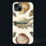 Fancy Shell Beach Case-Mate iPhone Hülle<br><div class="desc">George Wolfgang Knorr is known for the delicate detail and precision of his illustrations of shells and starfish. His Drawings were 2 beeinflussced by his own interest in science, a popular subjet matter of his era.</div>