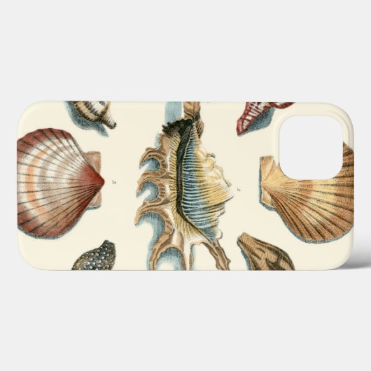 Fancy Shell Beach Case-Mate iPhone Hülle (Rückseite (Horizontal))