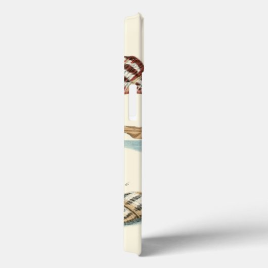 Fancy Shell Beach Case-Mate iPhone Hülle (Rückseite / Rechts)