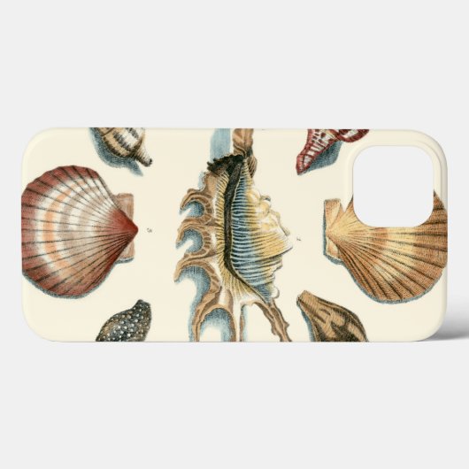 Fancy Shell Beach Case-Mate iPhone Hülle (Rückseite (Horizontal))