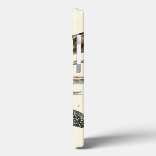 Fancy Shell Beach Case-Mate iPhone Hülle (Rückseite / Links)