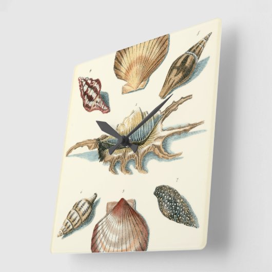 Fancy Shell Beach Quadratische Wanduhr (Winkel)