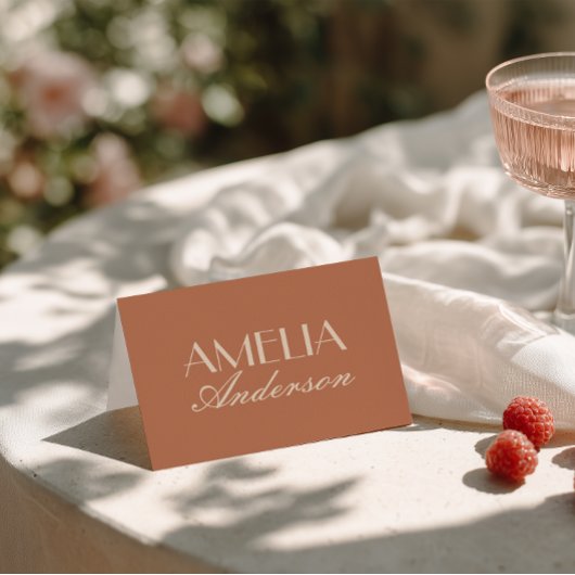 Fancy Terracotta Old Money Wedding Place Cards Tischnummer