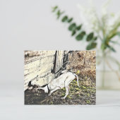 Fand es! postkarte (Stehend Vorderseite)