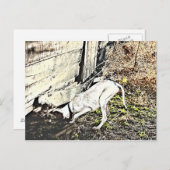 Fand es! postkarte (Vorne/Hinten)