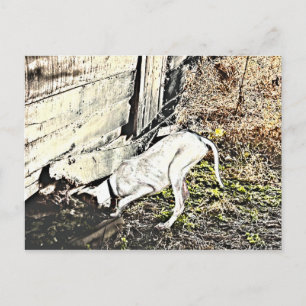 Fand es! postkarte