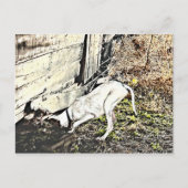 Fand es! postkarte (Vorderseite)