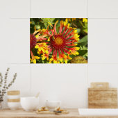 Fanfare Gaillardia - Individuell Poster (Küche)