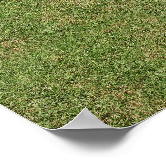 Fang den Wind Poster (Ecke)