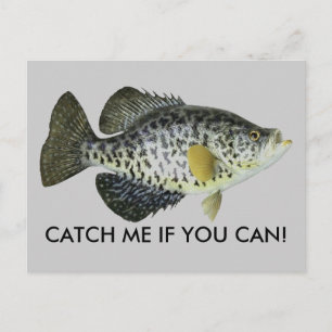 FANG MICH, WENN DU KANNST! POSTKARTE