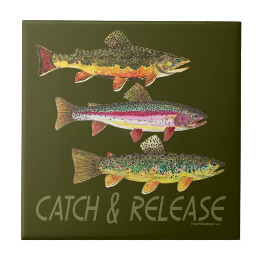 Fang und Freigabe von Forellen Fliese (Vorderseite)