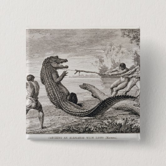 Fangen eines Alligators mit Lasso Button (Vorderseite)