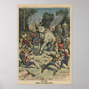 Fangen eines weißen Elefanten in Siam Poster