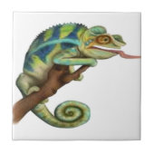 FANGEN SIE DAS AUGE FLIESE (Vorderseite)