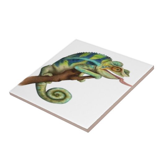 FANGEN SIE DAS AUGE FLIESE (Seite)