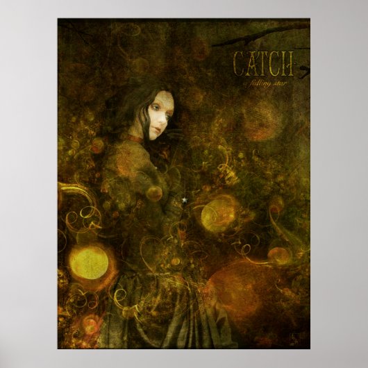 fangen Sie einen herabfallenden Stern Poster (Vorne)