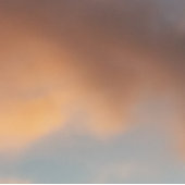 Fangen Sie jede Traum-Tasse Kaffeetasse