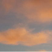 Fangen Sie jede Traum-Tasse Kaffeetasse