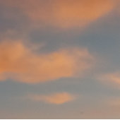 Fangen Sie jede Traum-Tasse Kaffeetasse