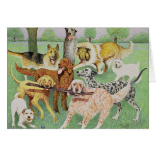 Fangen Sie und tragen Sie