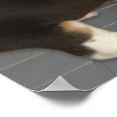 Fangen Sie wieder mit meinen Hosen runter, Niedlic Poster (Ecke)