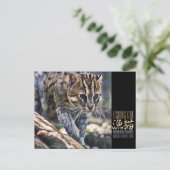 Fangkatze [Postkarte] Postkarte (Stehend Vorderseite)