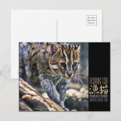 Fangkatze [Postkarte] Postkarte (Vorne/Hinten)