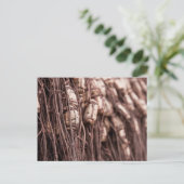 Fangnetz Postkarte (Stehend Vorderseite)